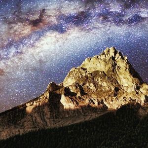 Meet your Posher, Monique